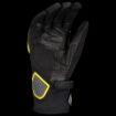 Obrázek glove DUALRAID black