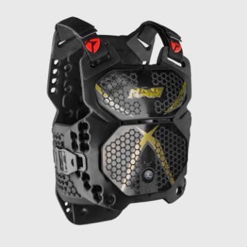 Zobrazit detail produktu - R-Pro2 Gold Black Obrázek R-Pro2 Gold Black